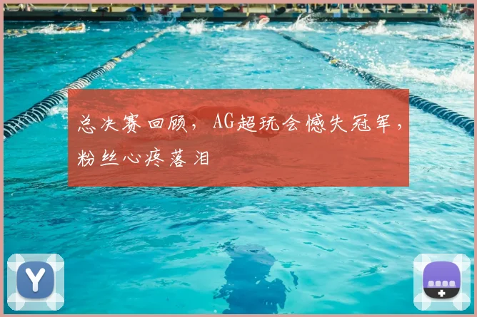 总决赛回顾，AG超玩会憾失冠军，粉丝心疼落泪